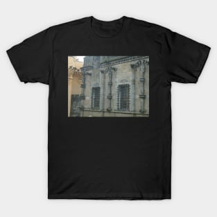 Royal Palace Statues, Stirling Castle T-Shirt